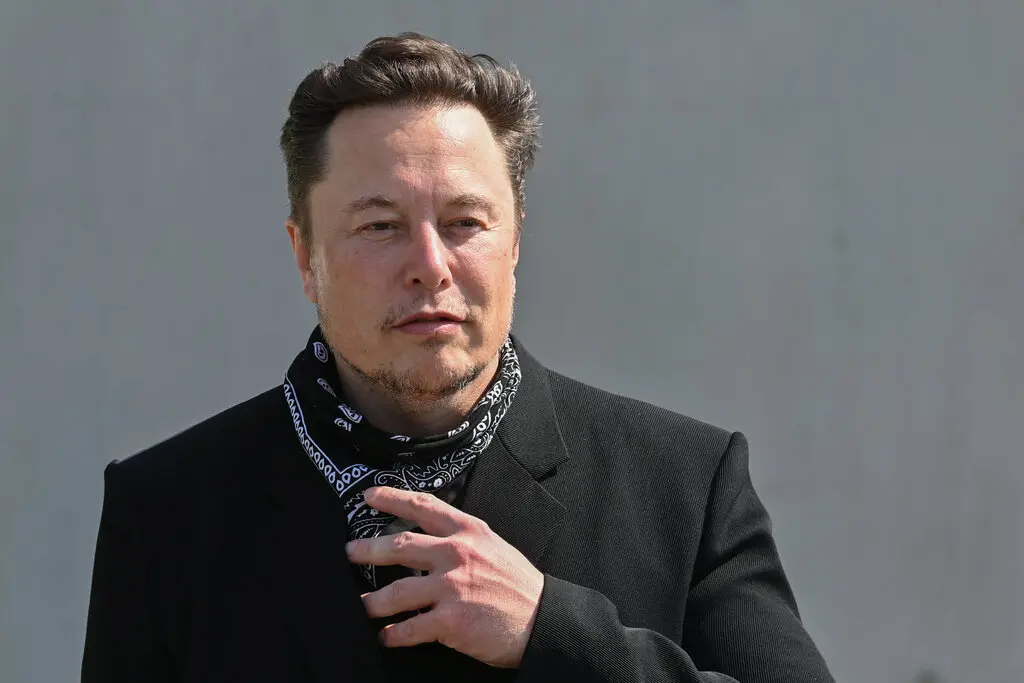 Elon Musk, Narcissistic Celebrities: A Comprehensive Guide by Som Dutt From https://embraceinnerchaos.com