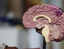 What Research Reveals About Narcissism and Dementia Connection
