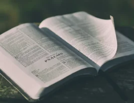 What Does The Bible Say About Narcissism? A Complete Biblical Analysis of Pride, Transformation, and Divine Justice