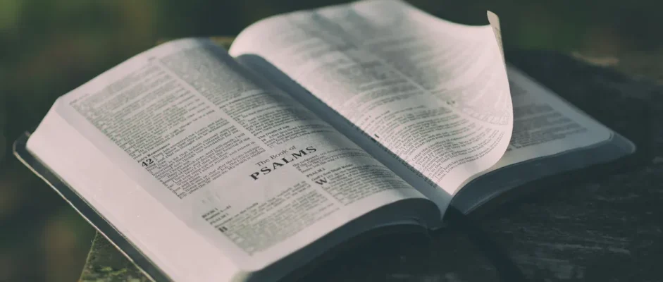 What Does The Bible Say About Narcissism?