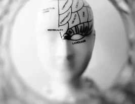 Difference Between Machiavellianism Vs Narcissism