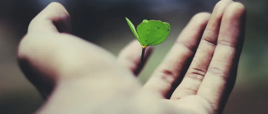 7 Signs The Narcissist Has Moved On From Your Life