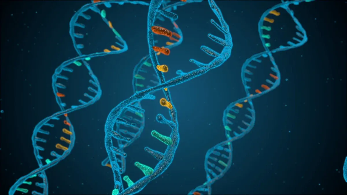 Is Narcissism Hereditary (Research Data Analysis)