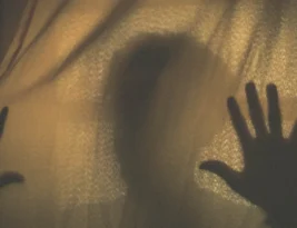 7 Signs of Covert Narcissist Sister Projection Inside Your Family System