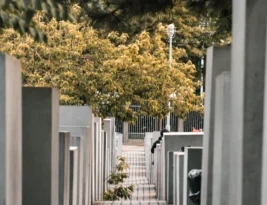 Why are Narcissistic Families like Cults?