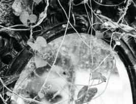 Decoding Narcissist Blame Shifting